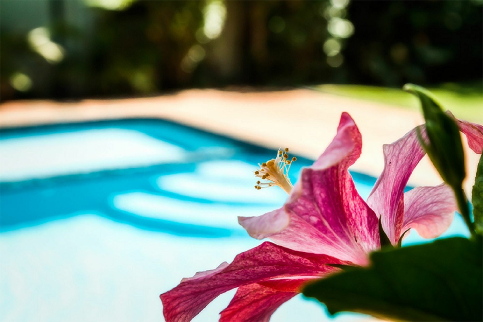 Coffs Harbour Holiday Apartments Dış mekan fotoğraf
